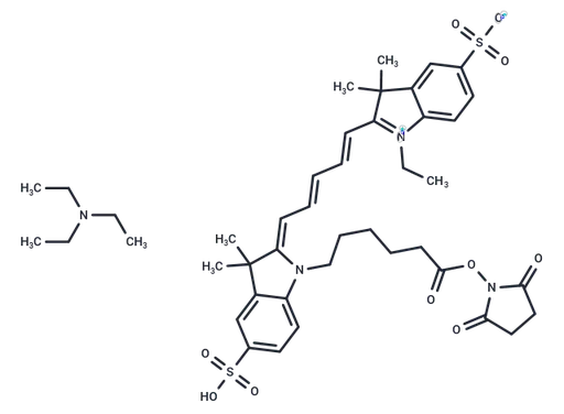 CY5-SE triethylamine salt