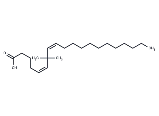 7,7-Dimethyl-(5Z,8Z)-eicosadienoic acid