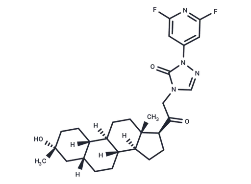 GABAA receptor modular-3