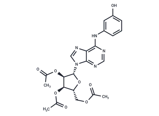 IMM-H007