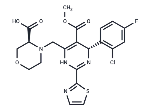 RO6889678