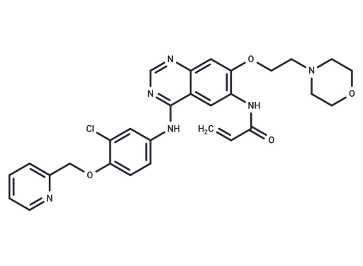 Tuxobertinib