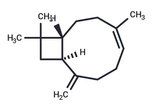 β-Caryophyllene