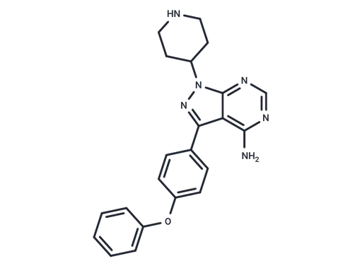 N-piperidine Ibrutinib