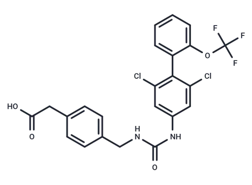 RORγt inverse agonist 13