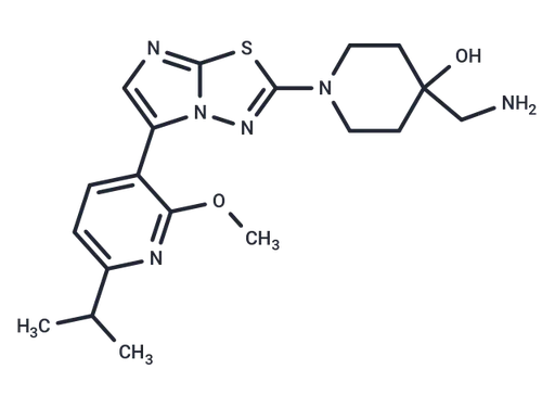 INE963