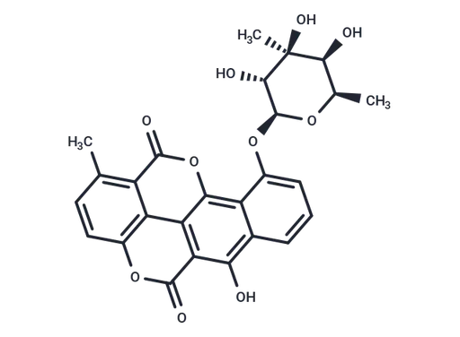 Elsamicin B