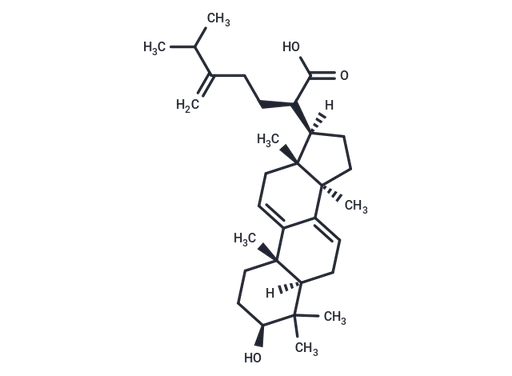 Dehydrotrametenolic acid