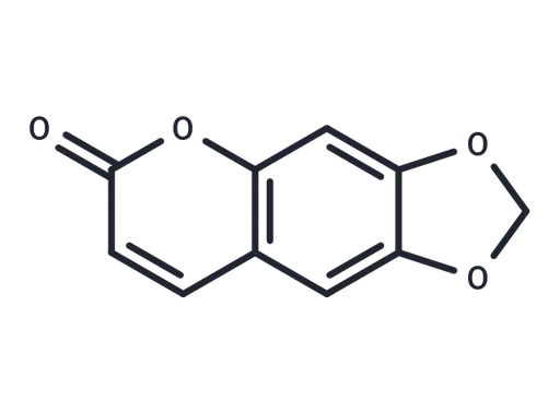 Ayapin