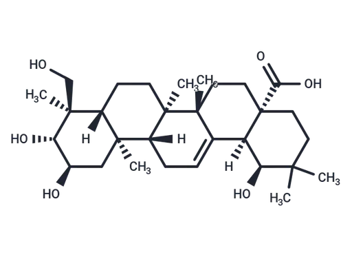 Arjungenin
