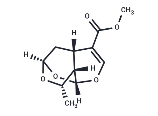Sarracenin