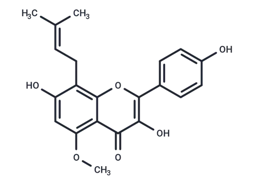 Sophoflavescenol