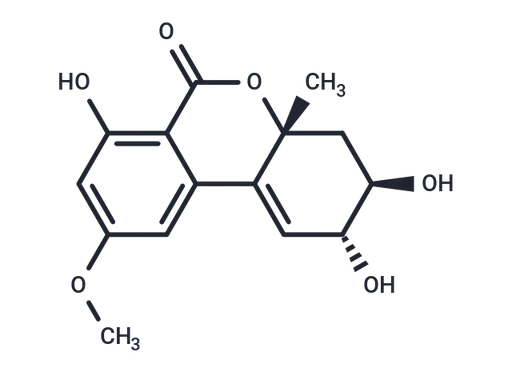 Altenuene