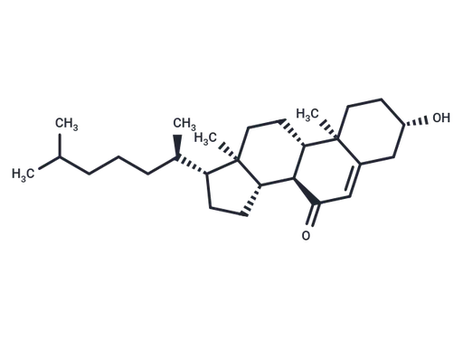 7-Ketocholesterol
