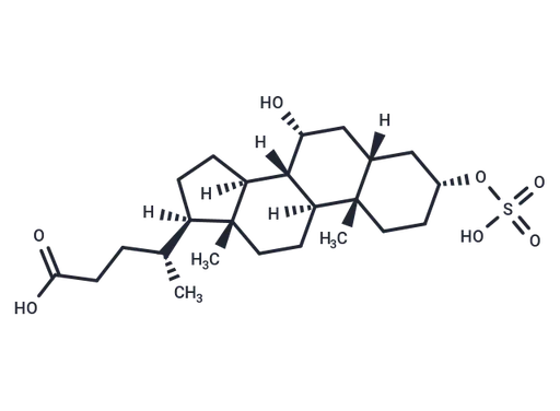Chenodeoxycholic acid 3-sulfate