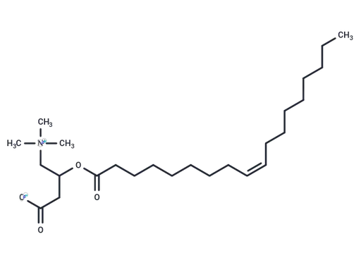 (Rac)-Oleoylcarnitine