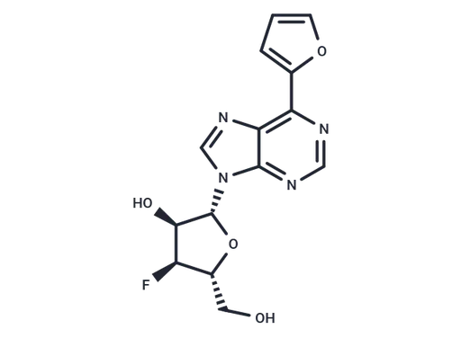 6-(Furan-2-yl)purine-β-D-(3'-deoxy-3'-fluoro)riboside