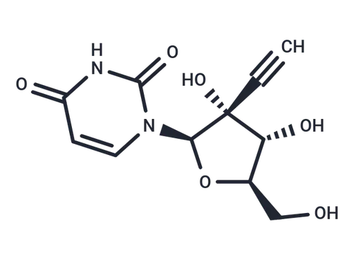 2'-β-C-Ethynyluridine