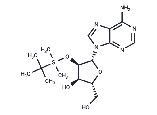 2'-O-t-Butyldimethylsilyl adenosine