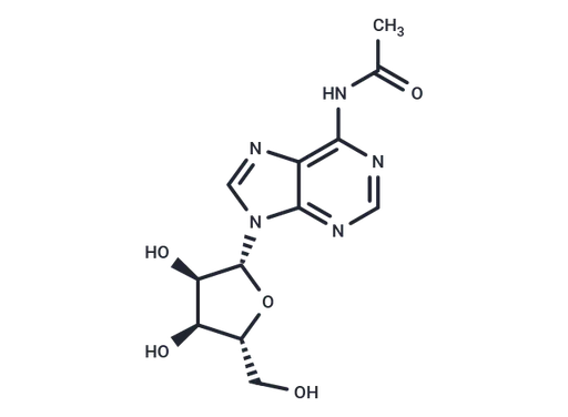 N6-Acetyl adenosine