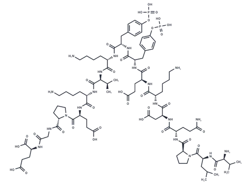 Tyrosine Protein Kinase JAK 2 (Phospho-Tyr8, 9)