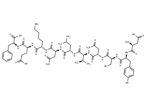 CEF14, EBV Rta Protein (28-37)