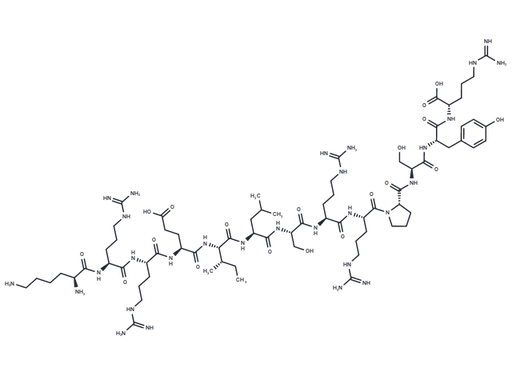 CREBtide