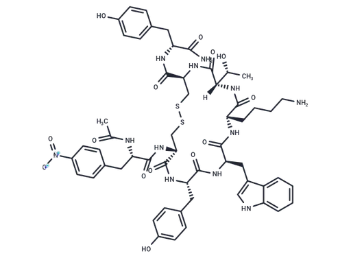 CYN 154806