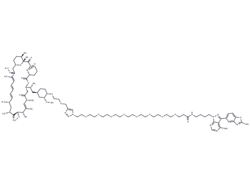 Rapalink-1