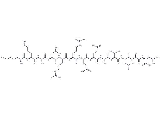 Autocamtide-2-related inhibitory peptide