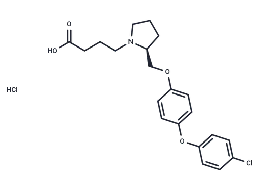 DG051