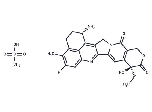 Exatecan Mesylate