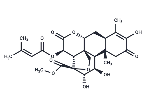 Brusatol