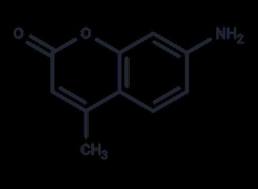 7-Amino-4-methylcoumarin