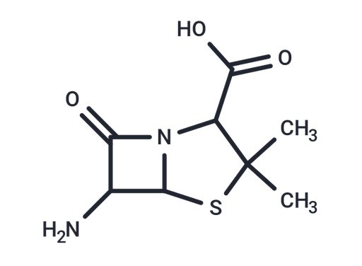 6-Aminopenicillanic acid
