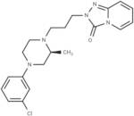 α1 adrenoceptor-MO-1