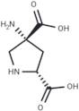 (2R,4R)-APDC