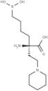 Arginase inhibitor 1