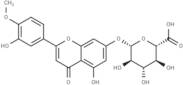 DiosMetin 7-O-β-D-Glucuronide