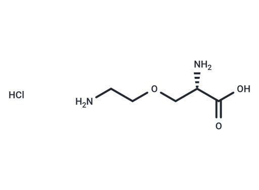L-4-Oxalysine hydrochloride
