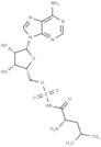 Leu-AMS R enantiomer