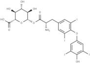 Levothyroxine acyl glucuronide