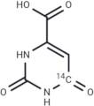 Orotic acid-6-C14