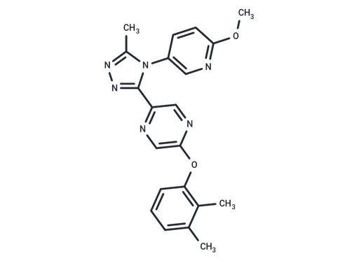 OT antagonist 3