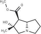 Isotussilagine