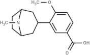 Datumetine