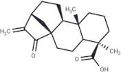 Kaur-16-en-18-oic acid, 15-oxo- (7CI,8CI)