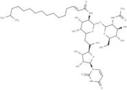 Tunicamycin X