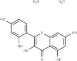 Morin dihydrate