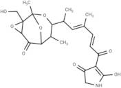 Tirandamycin B